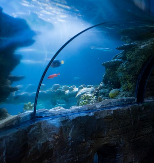 Aquarium