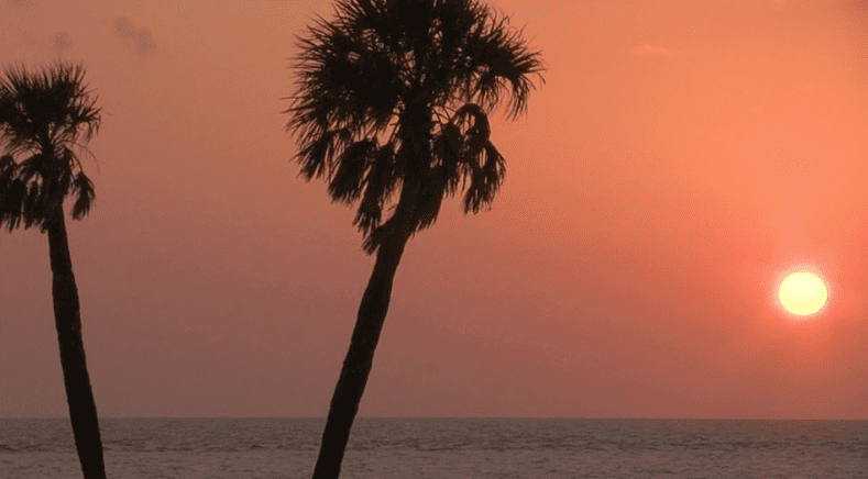 Sunrise